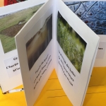 Profile picture of ulisecoledarcy